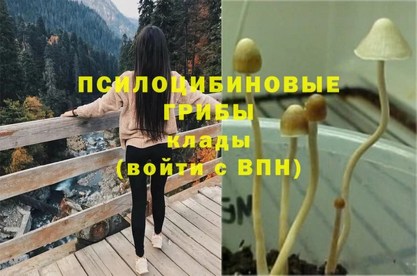 марки nbome Горняк