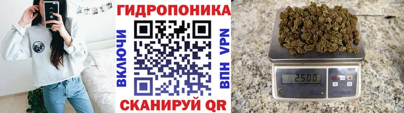 Шишки марихуана THC 21%  Купить  Магас 